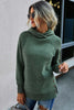 Turtle Neck Solid Loose Sweater
